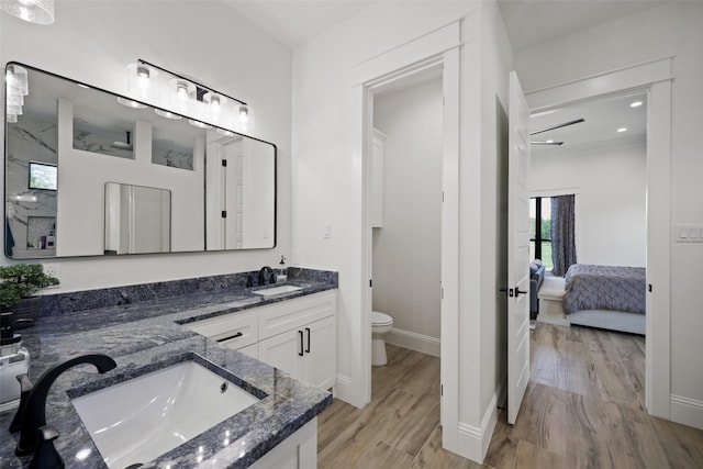 bathroom with walk in shower, vanity, wood-type flooring, and toilet