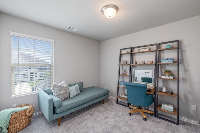 view of carpeted home office