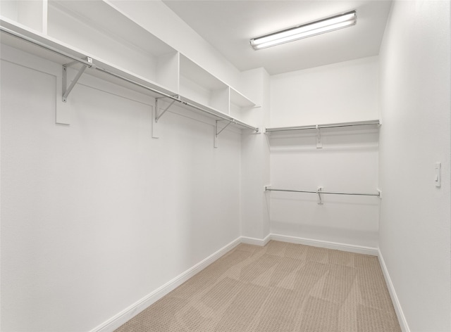 walk in closet with light colored carpet