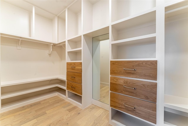 walk in closet with wood-type flooring