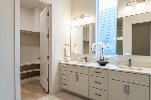 bathroom with vanity and wood-type flooring