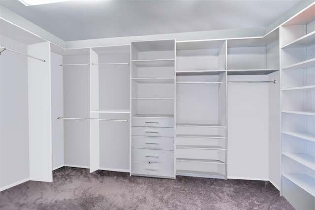 spacious closet featuring carpet flooring