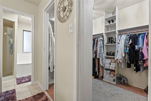 spacious closet with light colored carpet