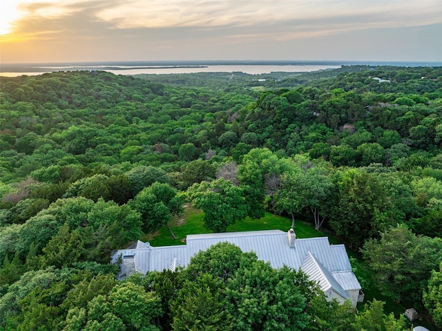 1665 W Belt Line Rd, Cedar Hill, TX 75104 - view from above of property featuring a forest and a nearby body of water