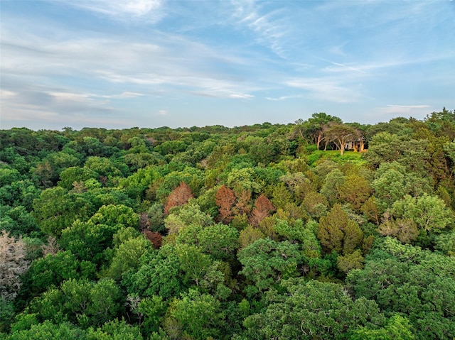 1665 W Belt Line Rd, Cedar Hill, TX 75104 - bird's eye view of a forest