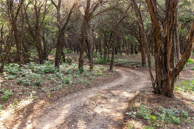 1665 W Belt Line Rd, Cedar Hill, TX 75104 - view of street with a forest view