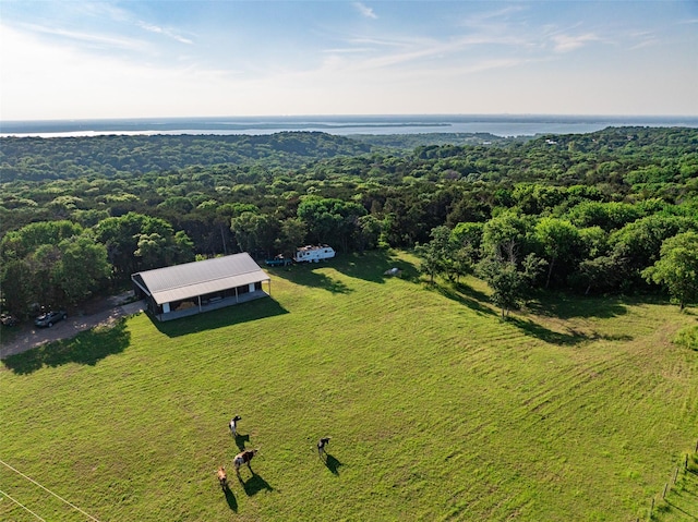 aerial view