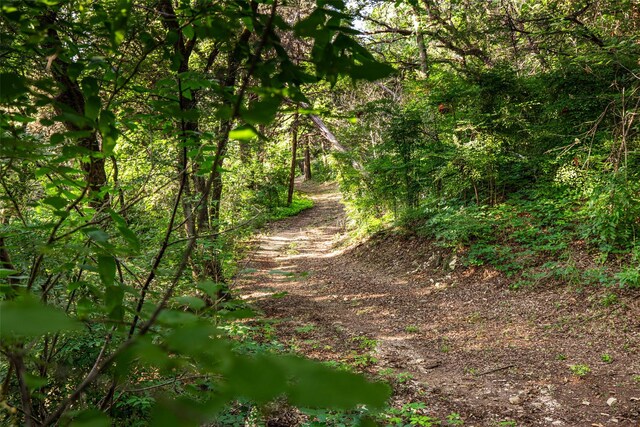 1665 W Belt Line Rd, Cedar Hill, TX 75104 - view of wooded area