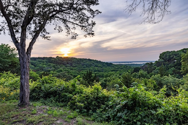 1665 W Belt Line Rd, Cedar Hill, TX 75104 - mountain view with a forest