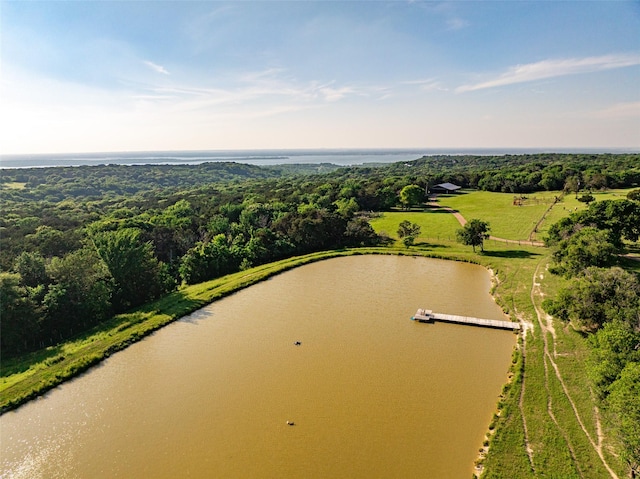 1665 W Belt Line Rd, Cedar Hill, TX 75104 - aerial view of a large body of water and a forest