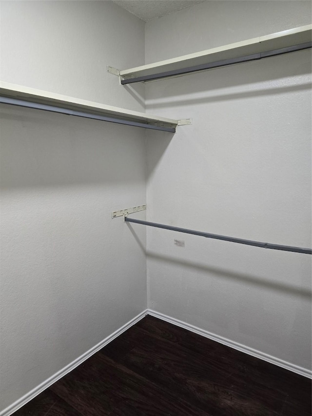 walk in closet with dark hardwood / wood-style floors