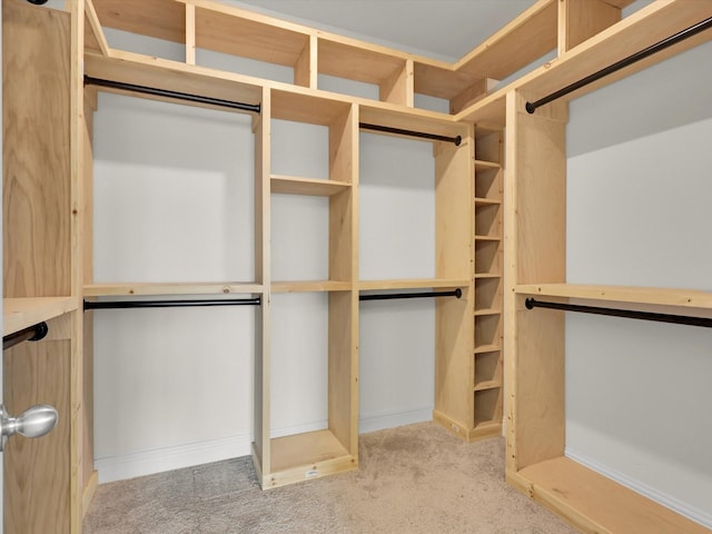 spacious closet featuring carpet