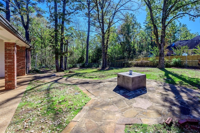 view of yard featuring a patio