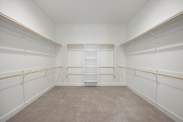 spacious closet with carpet