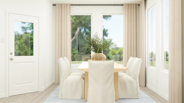 dining area with light hardwood / wood-style flooring