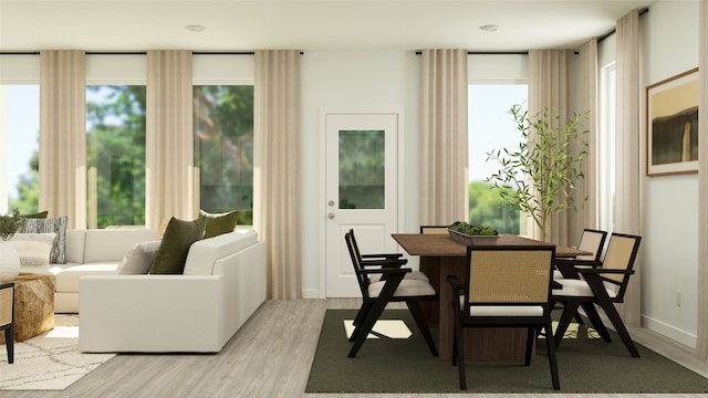 dining area with light hardwood / wood-style flooring