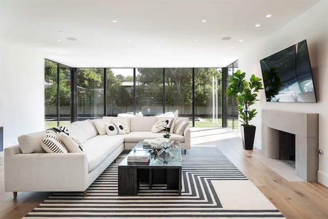 living room featuring expansive windows and light wood-type flooring