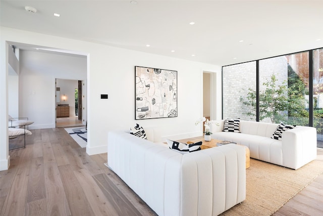 living room featuring light wood-type flooring