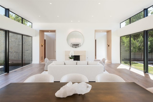 dining area featuring a healthy amount of sunlight and light hardwood / wood-style flooring