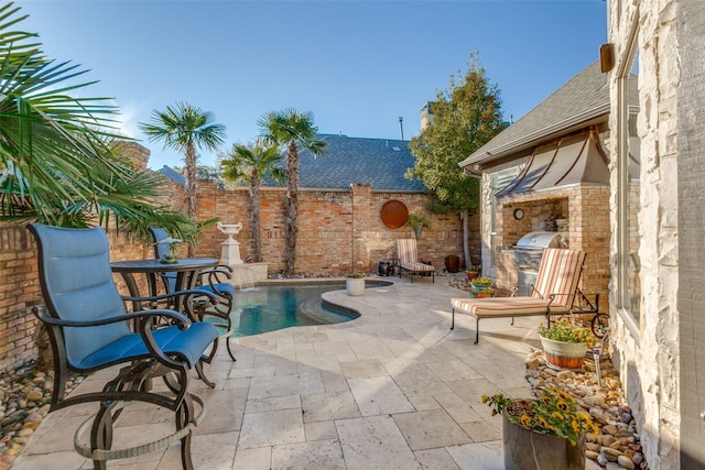 view of pool featuring a patio area and area for grilling