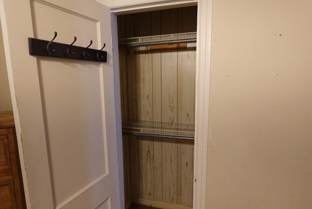 view of closet