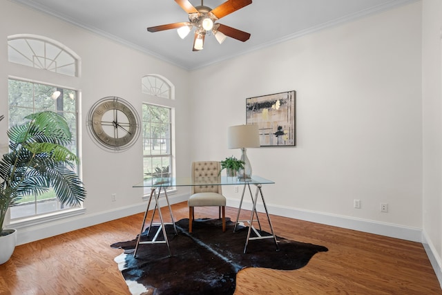 office space with ceiling fan, wood-type flooring, and crown molding