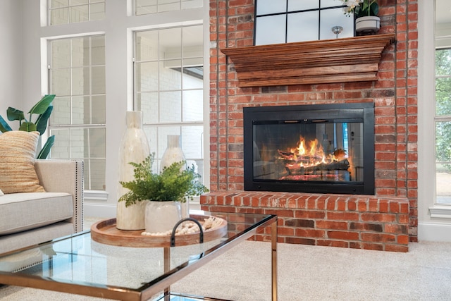 room details with carpet flooring and a fireplace