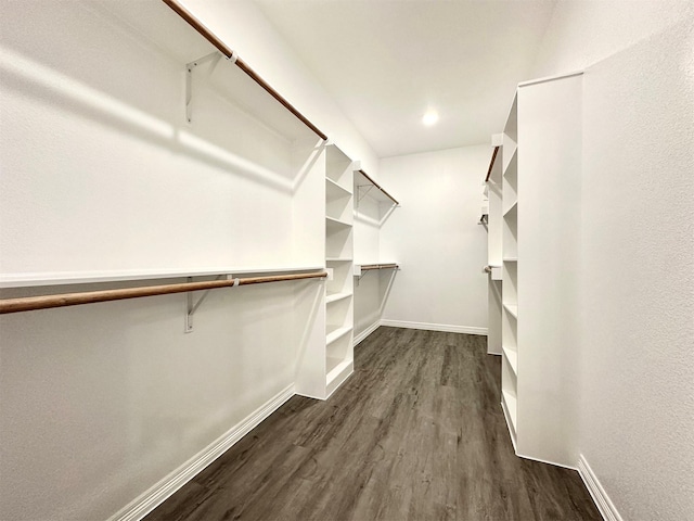 spacious closet with dark hardwood / wood-style floors