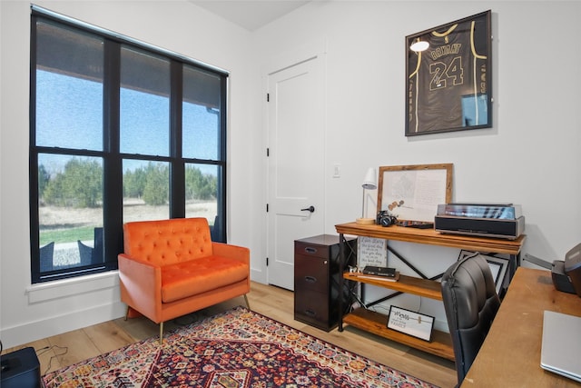 office area featuring light hardwood / wood-style floors