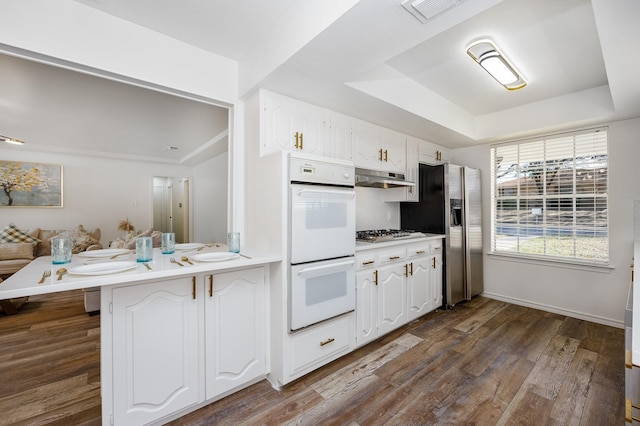 kitchen with ventilation hood, kitchen peninsula, a tray ceiling, white cabinetry, and stainless steel appliances