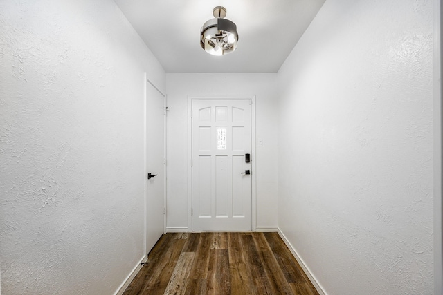 doorway with dark hardwood / wood-style floors