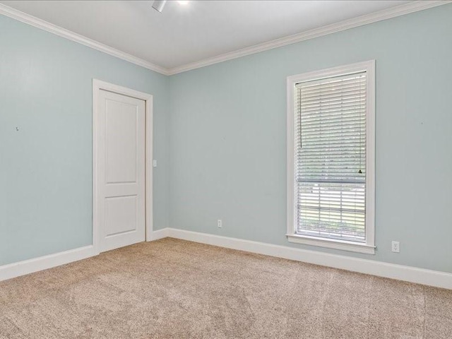 empty room with crown molding and carpet flooring