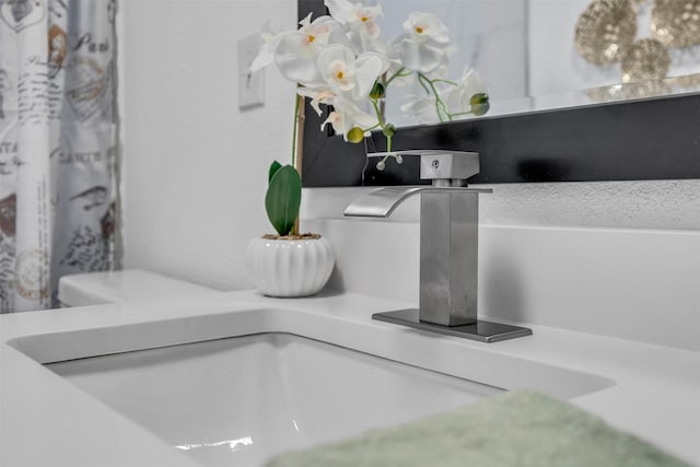 interior details featuring a sink