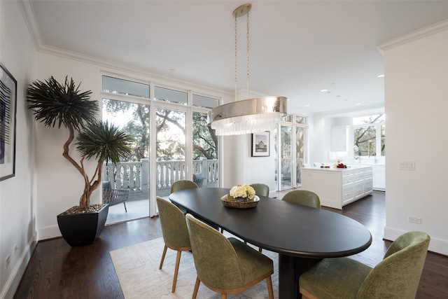 dining space featuring dark wood-type flooring and ornamental molding