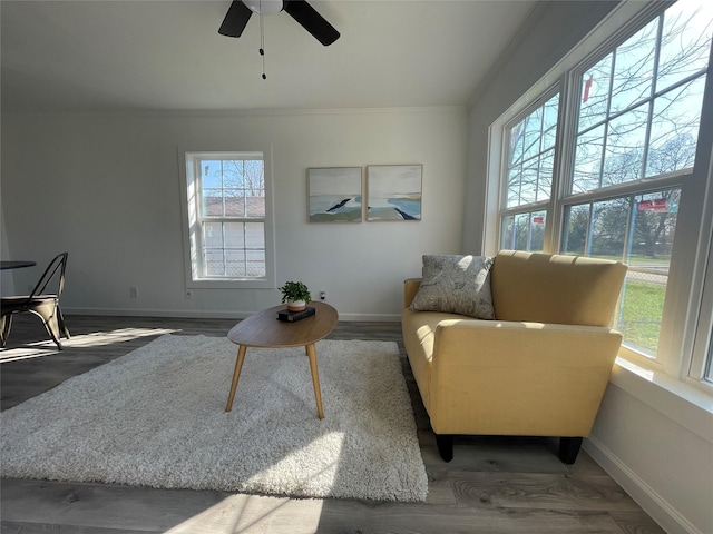 living room featuring hardwood / wood-style flooring, ceiling fan, and ornamental molding