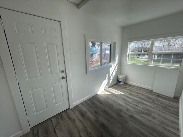 interior space featuring dark hardwood / wood-style floors