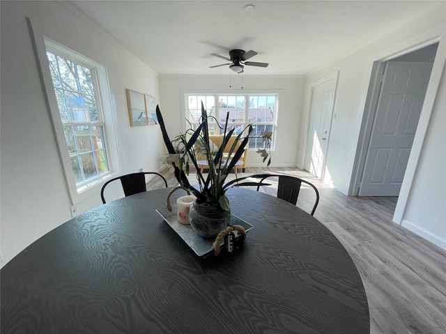 dining area featuring a healthy amount of sunlight, light hardwood / wood-style floors, ceiling fan, and crown molding