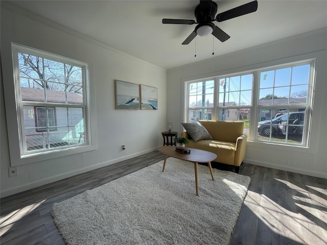 living room featuring a wealth of natural light, dark hardwood / wood-style flooring, and ceiling fan