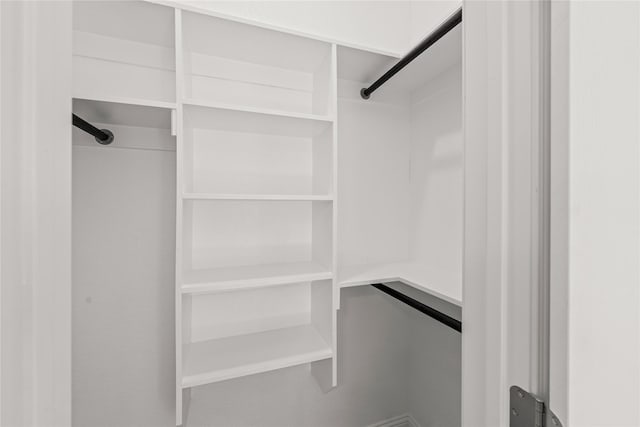 view of spacious closet