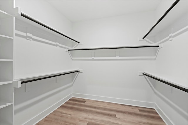 walk in closet with light wood-type flooring