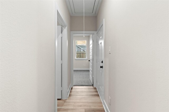 hall with light hardwood / wood-style flooring