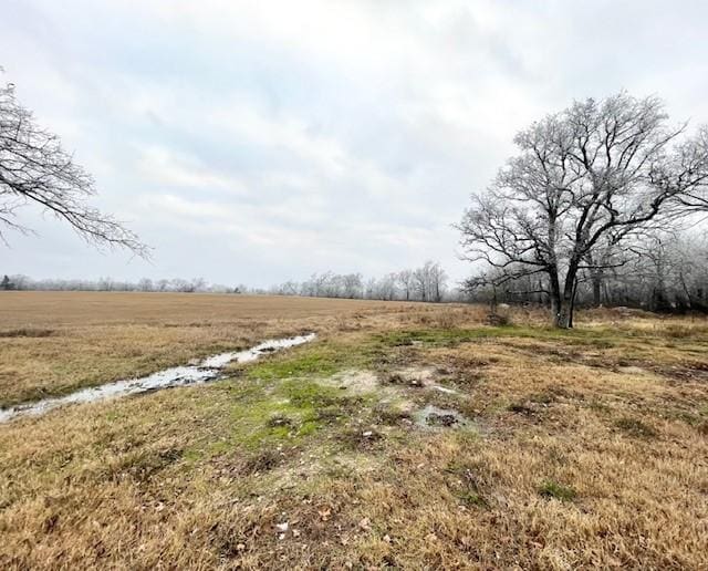 view of yard with a rural view