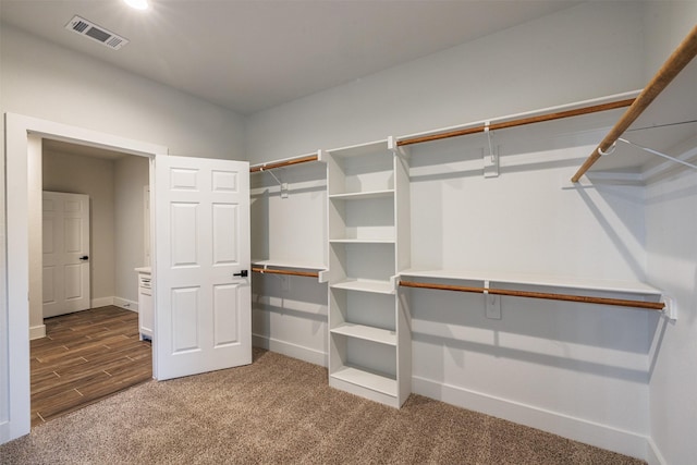 spacious closet with carpet