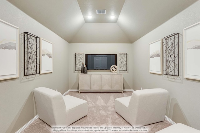 carpeted cinema with a textured ceiling and vaulted ceiling