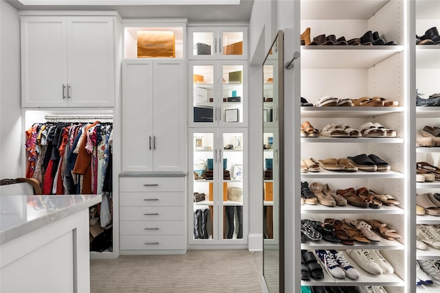 view of spacious closet