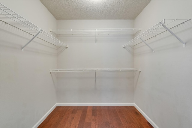 walk in closet featuring hardwood / wood-style floors