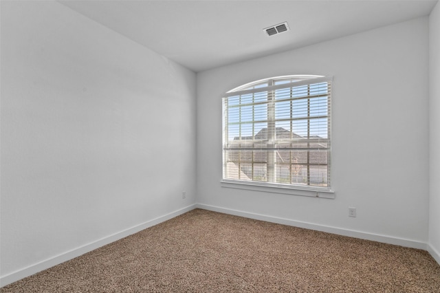 unfurnished room featuring carpet floors and a wealth of natural light