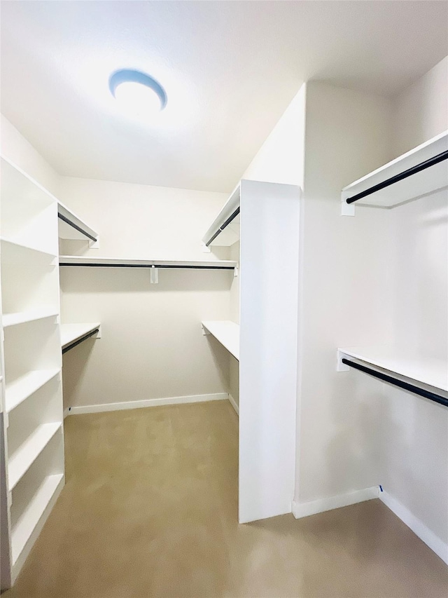 spacious closet featuring light carpet