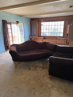 living room with carpet, beam ceiling, and a wealth of natural light