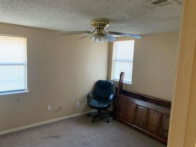 unfurnished office with a healthy amount of sunlight, light colored carpet, and a textured ceiling